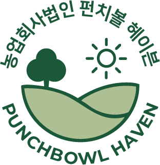 Punchbowl Haven